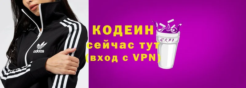 купить закладку  Княгинино  гидра вход  Кодеин Purple Drank 